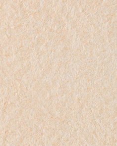 Жидкие обои Silk Plaster 261