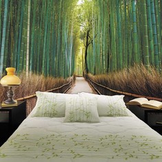 Обои Milan (Бамбуковая роща), M 309, 300х270 см