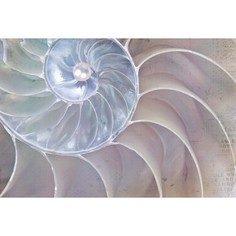 Обои Milan (Рождение жемчужины), M 736, 300х200 см