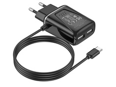 Зарядное устройство Borofone BA50A Beneficence 2xUSB 2.1A + кабель Type-C Black