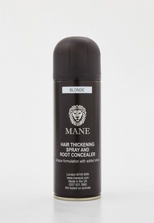Консилер Mane