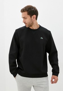 Свитшот Lacoste