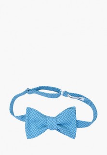 Бабочка Rainbowtie