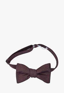 Бабочка Rainbowtie