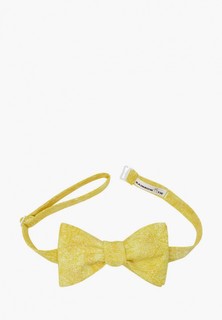 Бабочка Rainbowtie