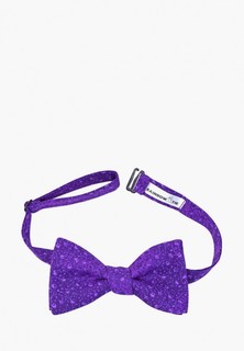 Бабочка Rainbowtie