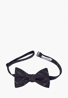 Бабочка Rainbowtie