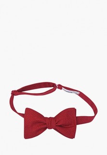 Бабочка Rainbowtie