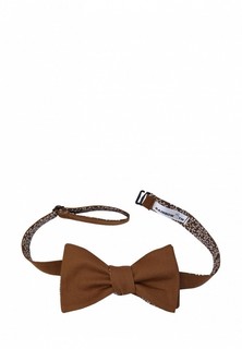 Бабочка Rainbowtie