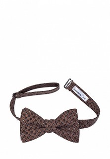 Бабочка Rainbowtie