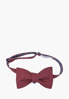Бабочка Rainbowtie