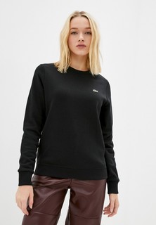 Свитшот Lacoste