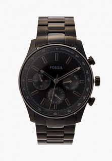 Fossil Lookbuck 17