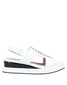 Сандалии Gattinoni