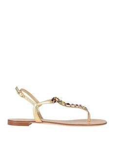 Вьетнамки Giuseppe Zanotti