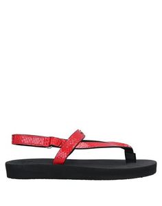 Вьетнамки Giuseppe Zanotti