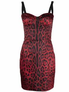 Dolce & Gabbana платье мини с леопардовым принтом