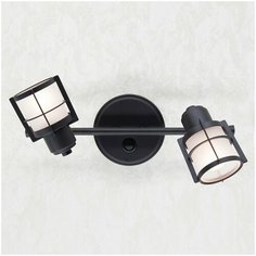 Спот с выключателем Citilux Трек Реймс CL563521 Венге