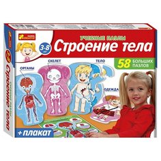 Настольная игра «Строение тела Ranok Creative