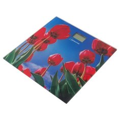 HOMESTAR Весы напольные электронные Homestar 180 кг HS-6001