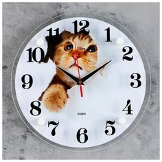 Часы настенные 21 век серия: Животный мир, "Кот", 30*30 см