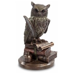 Фигура Мудрая Сова WS- 49/ 1 113-901904 Veronese