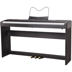 Цифровое пианино Ringway RP-35 black (черный)