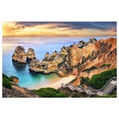 Алмазная мозаика "Прекрасный пляж", блестящая, 30х40 см Рыжий кот