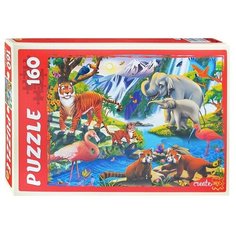 Пазлы 160 "Животный мир №4" Рыжий кот