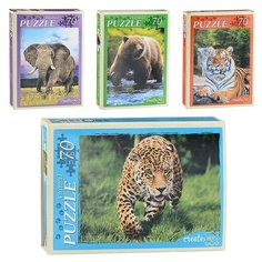 Пазлы 70 "Животные планеты" Рыжий кот