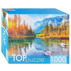 Пазлы Рыжий кот 1000 деталей, TOP puzzle "Германия, Озеро Хинтерзее" (ГИТП1000-2150)