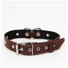 Ошейник кожаный Пижон усиленный капроном, с табличкой, 55*3 см, ОШ 30-57 см, коричневый