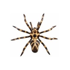 Панно настенное Паук (албезия, о. Бали) 30 см 75-007 113-403821 Decor & Gift