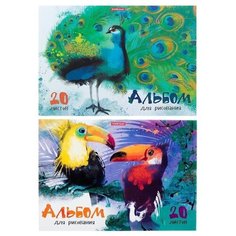 Альбом для рисования А4, 20 листов, на клею, Erich Krause «Птицы жарких стран», блок 120 г/м2, обложка мелованный картон 170 г/м2, жёсткая подложка 360 г/м2, белизна 100%