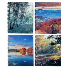 Тетрадь 80 листов клетка на гребне "Природа", картонная обложка, 4 вида микс Альт