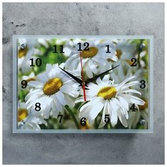 Сюжет Часы настенные, серия: Цветы, "Полевые ромашки", 25х35 см, микс
