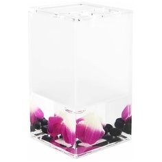 Стакан для зубных щёток настольный Verran «Phalaenopsis» акрил цвет розовый