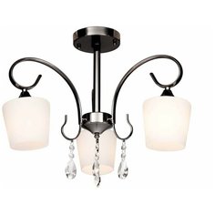 Потолочная люстра Silver Light Grace 249.59.3