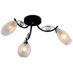 Потолочная люстра Silver Light Anjou 236.59.3