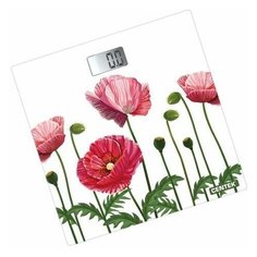 Весы электронные CENTEK CT-2416 (белый/красный)