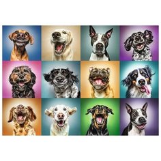 Пазл Trefl 1000 деталей: Смешные собаки