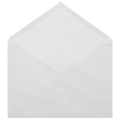 Конверт Ряжская печатная фабрика 124402 C5 (162 х 229 мм)
