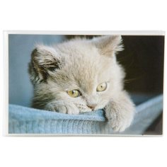 Фотоальбом Veld co 76965 36ф 10X15см, мягкая обложка