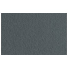 Бумага Fabriano Tiziano для пастели 65 х 50 см, 160г/м², 10 л. antracite