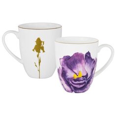 Кружка Iris в подарочной упаковке Anna Lafarg AL-505IR- E11