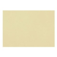 Бумага Fabriano Tiziano для пастели 65 х 50 см, 160г/м², 10 л. mandorla