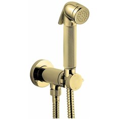 Гигиенический душ Bossini Nikita E37008 OR, золото
