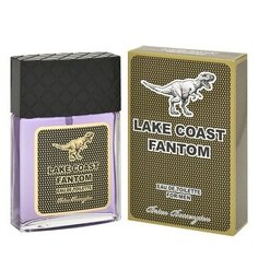 Туалетная вода для мужчин LAKE COAST FANTOM 90 мл Art Positive