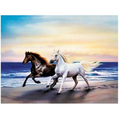 Картина стразами (алмазная мозаика) 40*50см, остров сокровищ "Бегущие по волнам", на подрамю, 662428