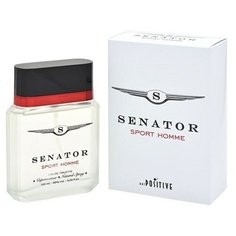 Туалетная вода для мужчин SENATOR SPORT HOMME 100 мл Art Positive